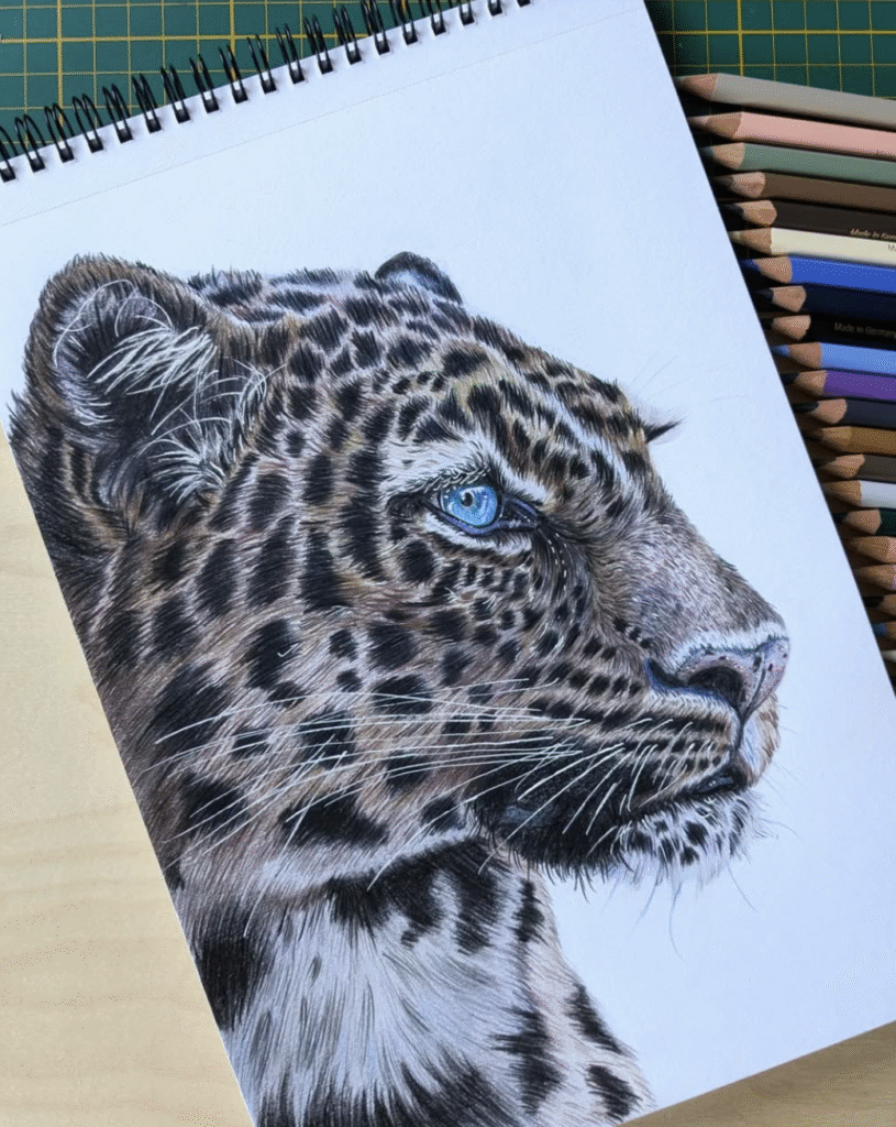 Detailed and hand-drawn artwork of a jaguar done in colored pencils.
