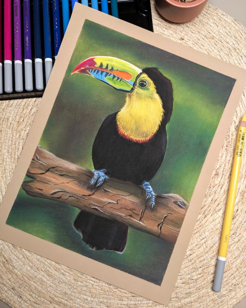 Drawing of a toucan with colored pencils by Kim Hartman.