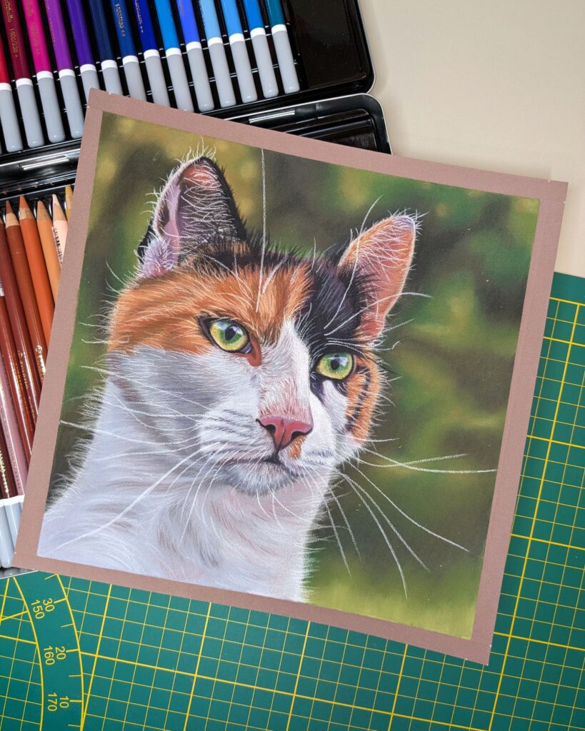 Hand-drawn pet portrait of a cat in pastel pencils.