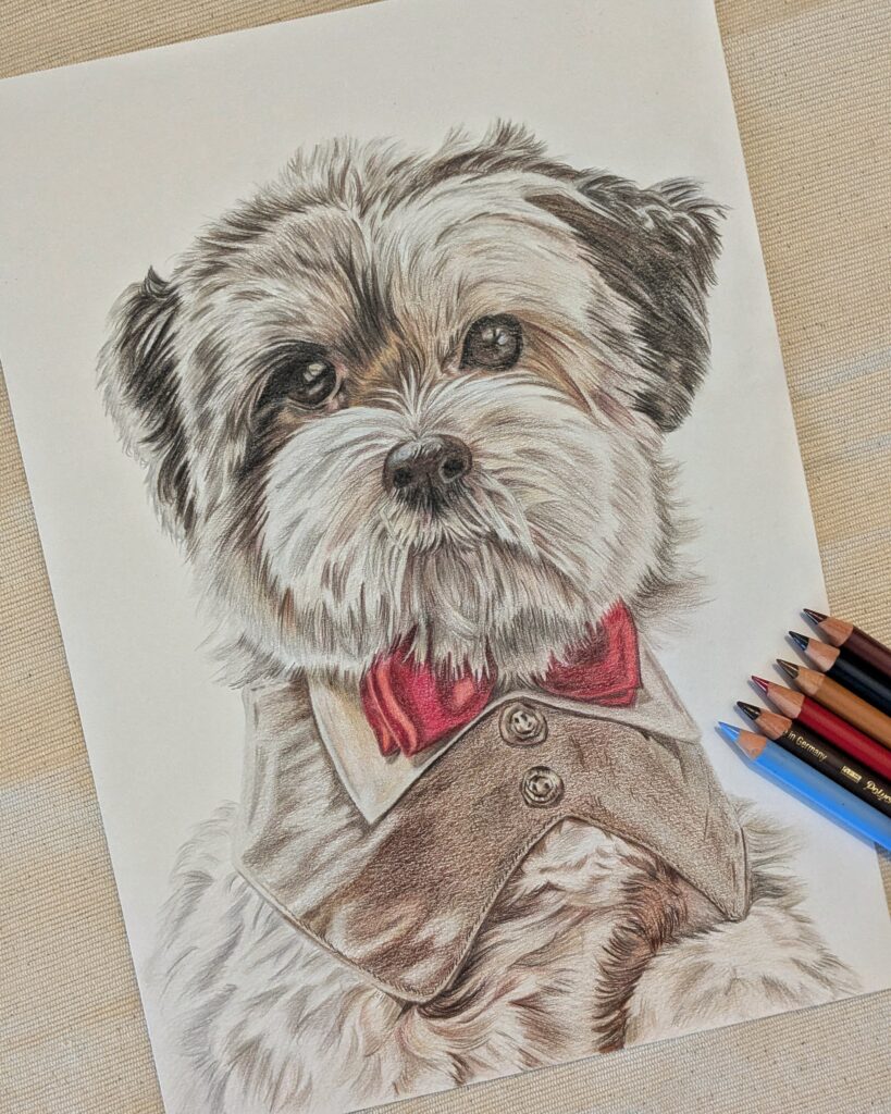 Colored pencil drawing of a pet dog by Kimhart Art.