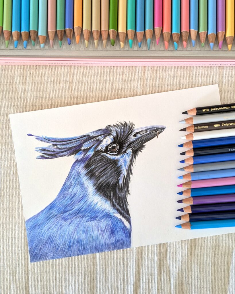 A colorful artwork of a blue bird, hand-drawn with colored pencils.